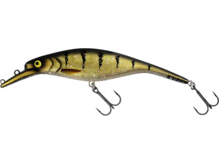 AMBER PERCH